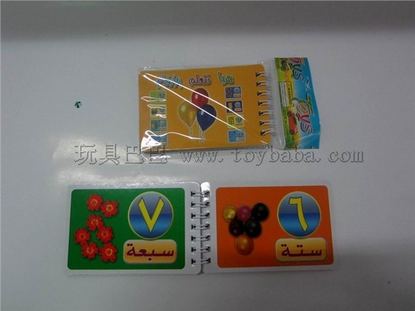 Arvin series recognition literacy small coil books (digital)
