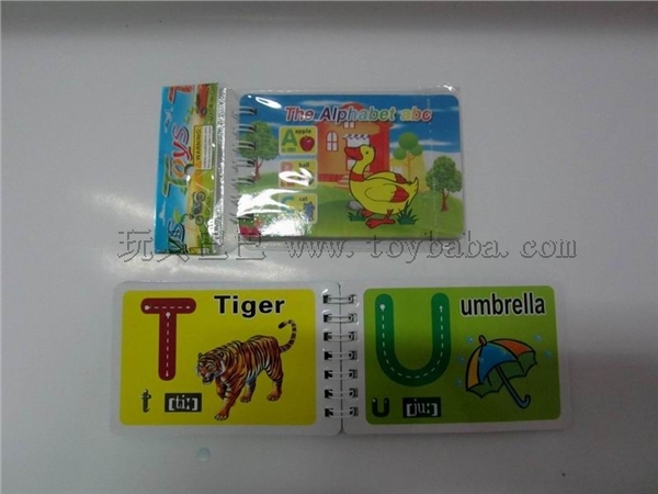 English Series recognition literacy small coil books (letters)