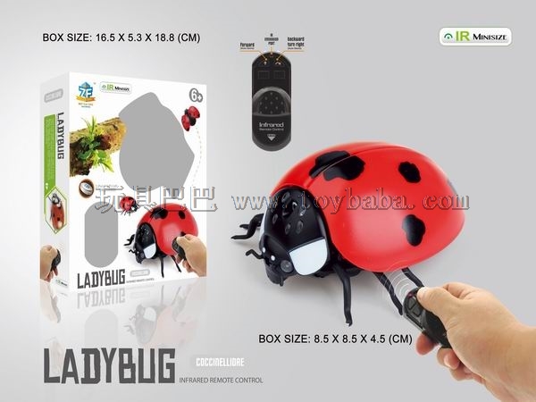 Infrared remote control lady beetle
