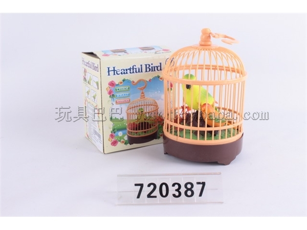 Voice control cage/two birds