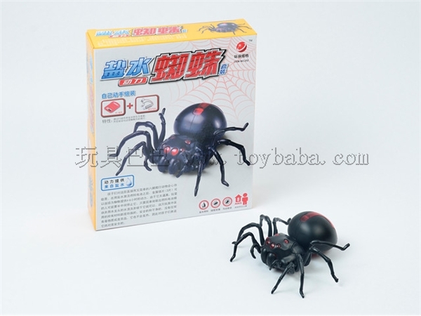 [Chinese] brine dynamic spider (since the toys)