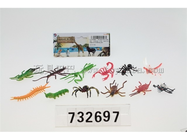 Insects 12 pack