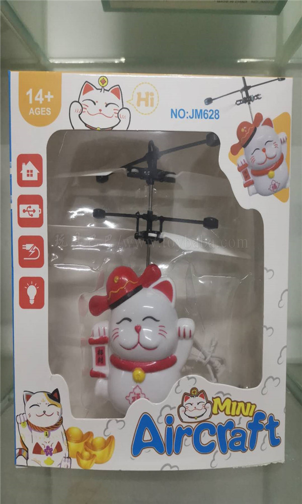 Fortune Cat induction aircraft