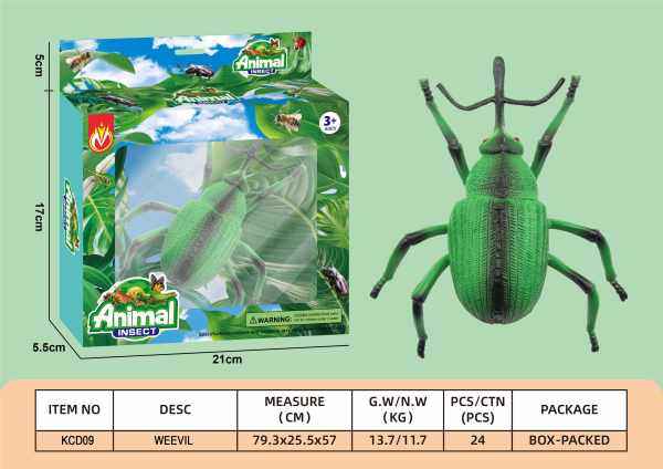 象鼻虫儿童仿真昆虫套装 昆虫玩具