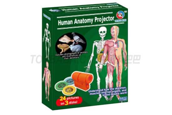人体器官系列投影机