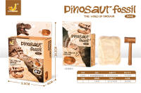 考古挖掘恐龙化石