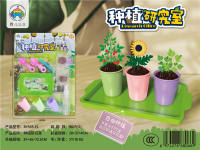 种植研究室-培植果蔬 科教玩具