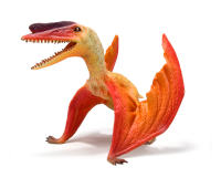 翼龙恐龙玩具 动物玩具（实心TPR恐龙模型玩具）
