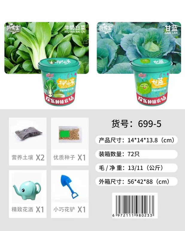 牛奶白菜 甘蓝科教种植玩具 益智玩具