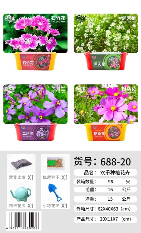 满天星 二月兰 格桑花 石竹花科教种植玩具 益智玩具