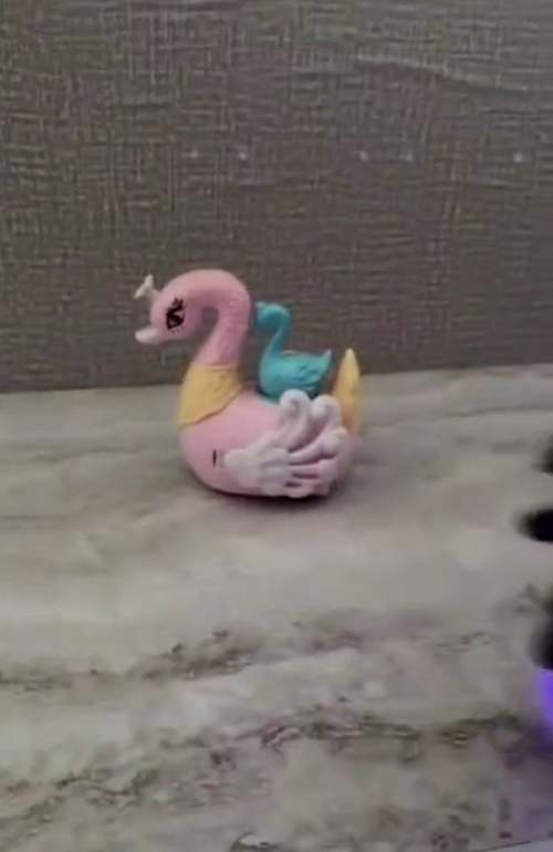 阿华旧模买卖惯性鹅